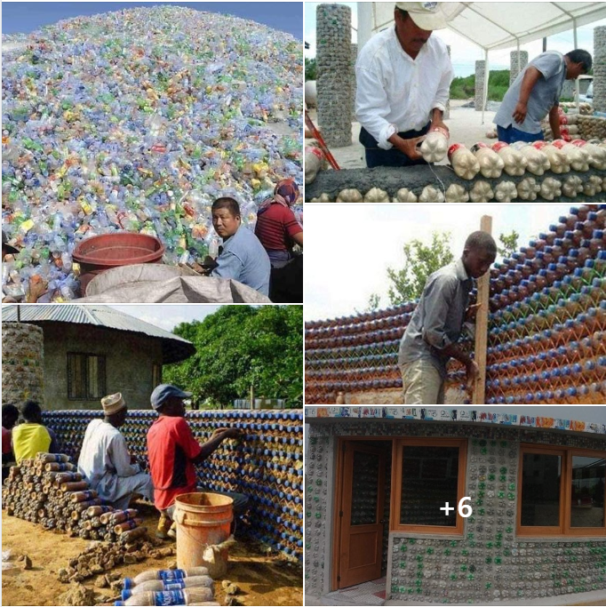 How to Build a House With Plastic Bottles