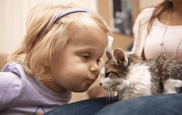SPECIAL BOND EMERGES BETWEEN TWO-YEAR-OLD AND CAT WITH MISSING LIMBS
