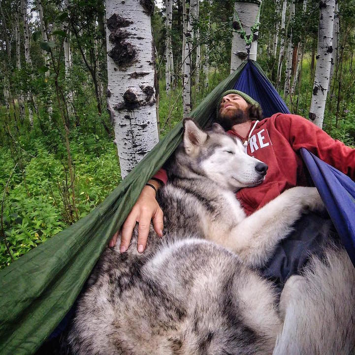 Man Documents His Incredible Outdoor Adventures with His Gorgeous Wolfdog