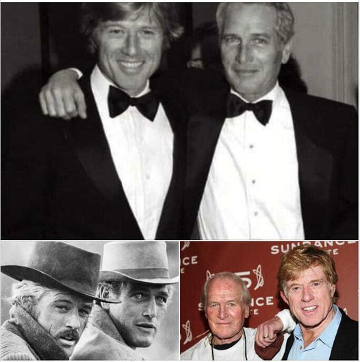 Paul Newman’s brutally honest words – he once confessed what he really thought of Robert Redford