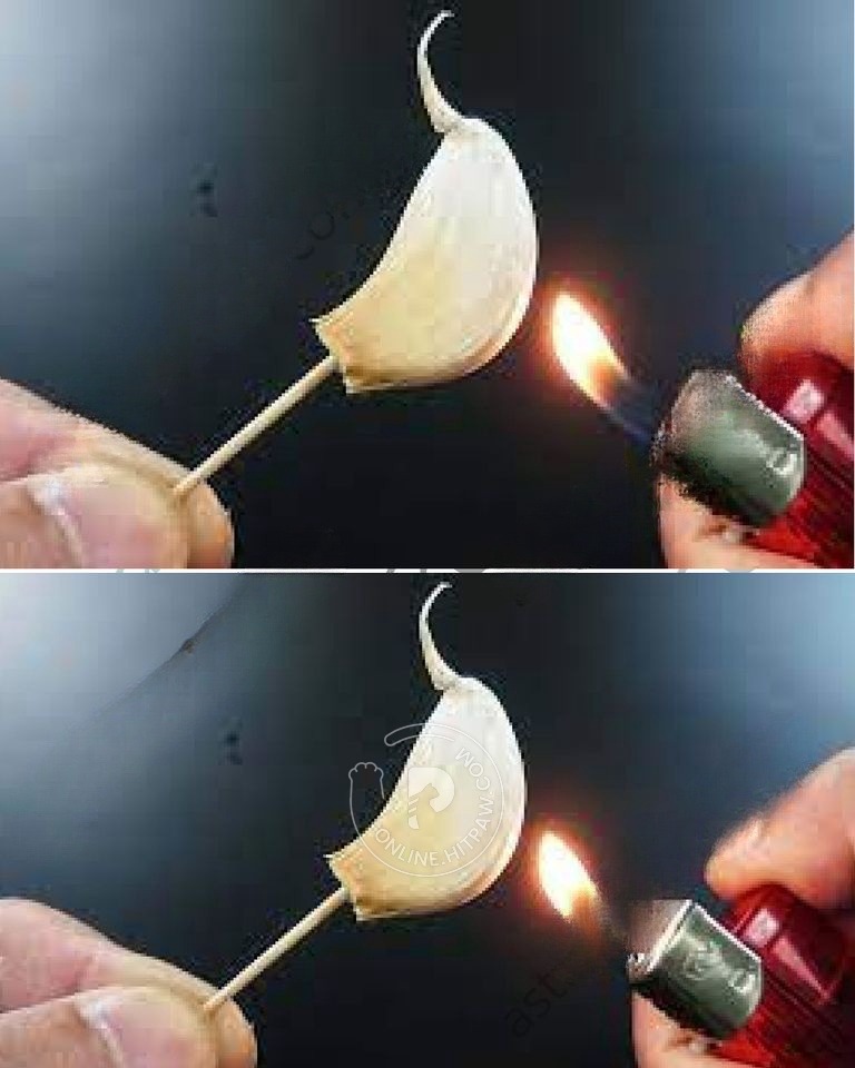 Burning A Clove Of Garlic, What Happens After 15 Minutes At Home