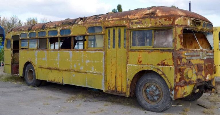 A Woman Turned a 1966 Bus into a Comfortable and Cozy Home on Wheels