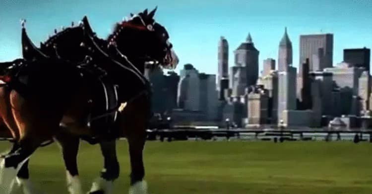We Finally Found A Full Version Of The 9/11 Commercial That Only Ever Aired Once
