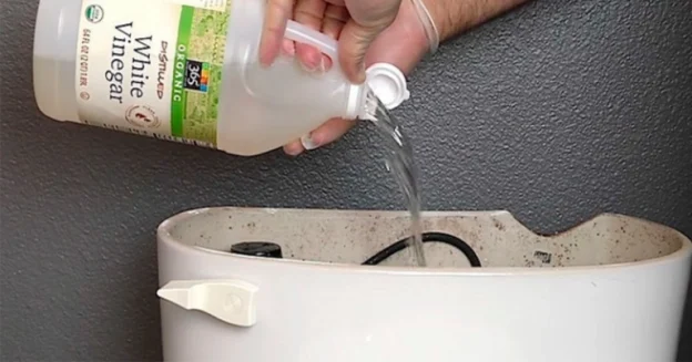 Pour Vinegar Down The Toilet Flush Tank, And See What Happens When You Flush