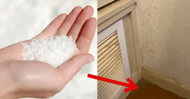Pour a little salt in some corners of your house. You will be amazed at its effects