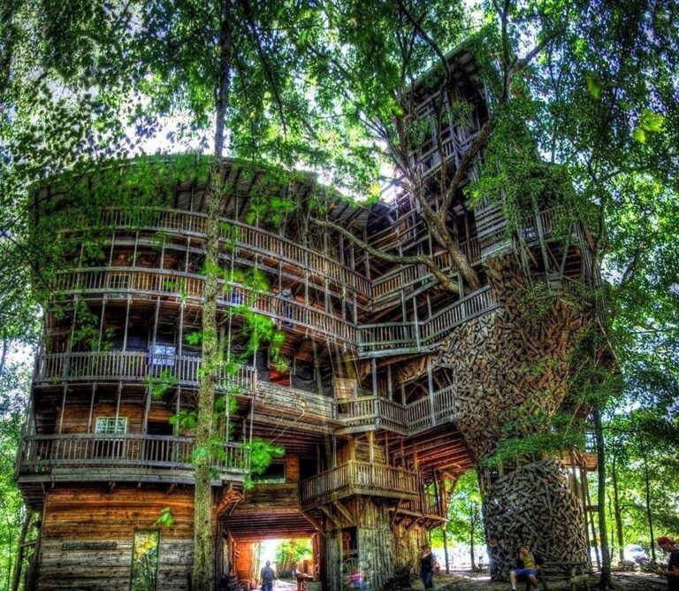Man spends 14 years building the largest tree house in the world, but wait till you see inside