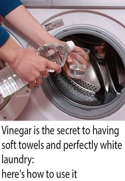Yes, vinegar helps clean the washing machine thoroughly: here’s how to use it