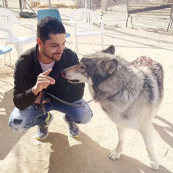 Selfies with Wolves: Demi Lovato and Wilmer Valderamma Celebrate His Birthday at a Wolf Sanctuary