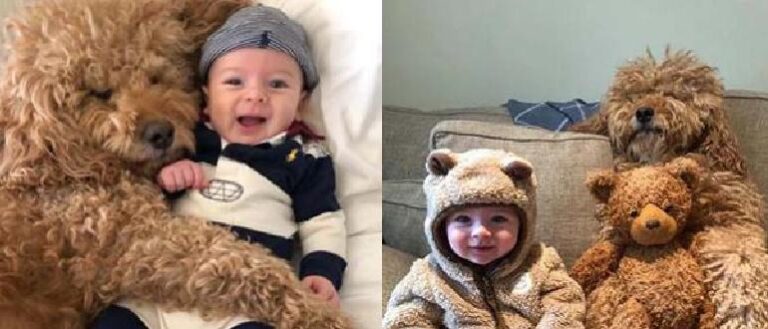 A 6-month-old baby has wonderful nannies, which are very similar to teddy bears