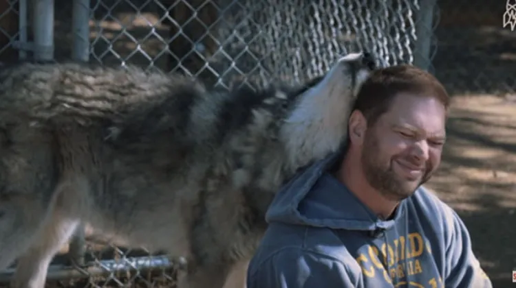 Devastated Veteran Was Told To Go Into Wolf Enclosure, What Happened Next Healed His Soul