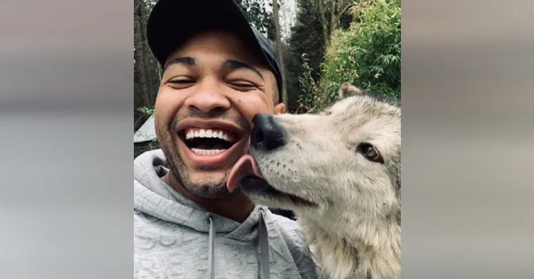 Washington State Animal Sanctuary Lets You Cuddle And Play With Friendly Wolves.