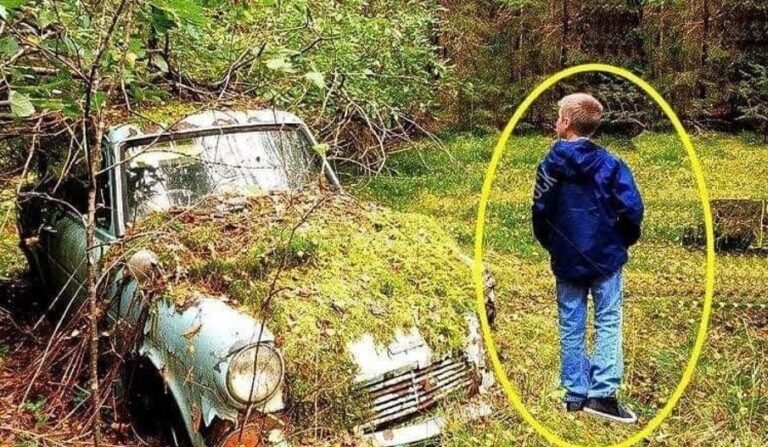 Kid walking through forest finds an abandoned old car, notices an old box with an envelope inside