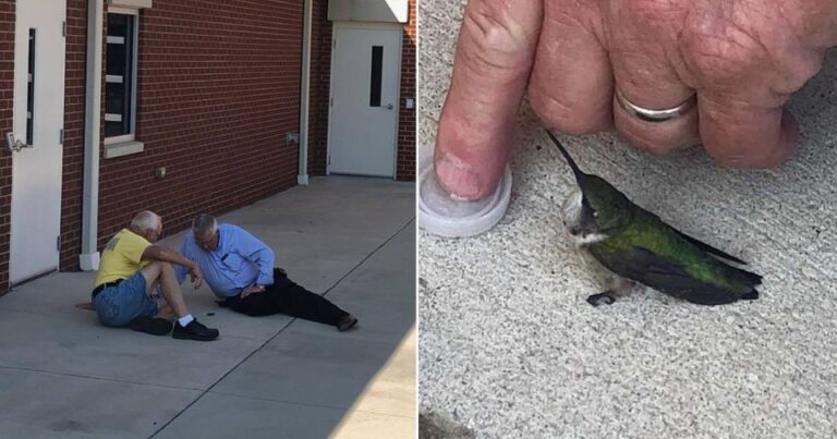 Firefighters go above and beyond to save tiny hummingbird found outside their station