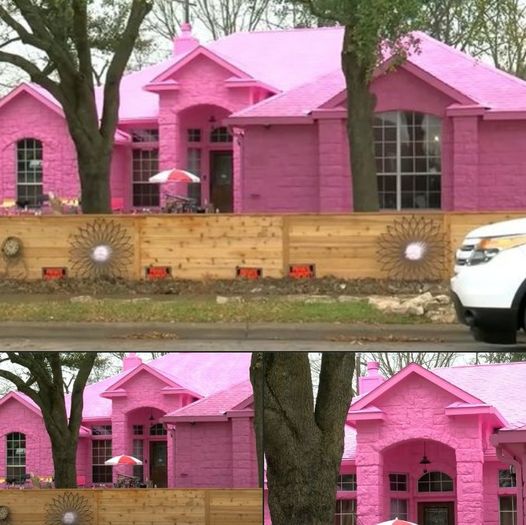 Man creates his dream home and upsets neighbors after painting it Pepto-Bismol pink