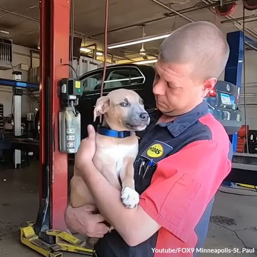 Mechanic Saves a Puppy Stuck in a Backpack in a Dumpster