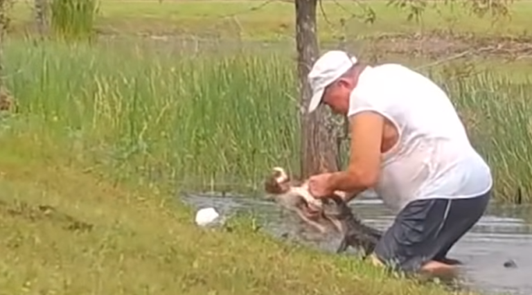 Florida man Wrestles Puppy from Jaws of Alligator