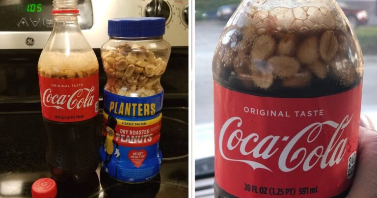 Adding peanuts to Coca-cola is apparently the hottest new Southern food trend