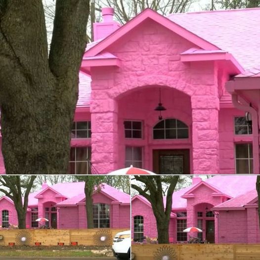 Neighbors Furious Over His House’s Color Choice, But He Refuses to Change It
