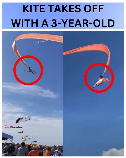 3-Year-Old Girl Swept Into The Air By Kite