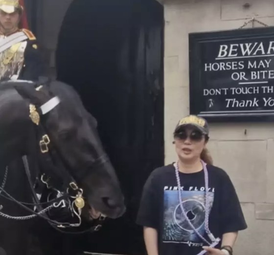 Tourist ignores warnings, gets bitten by King’s Guard horse