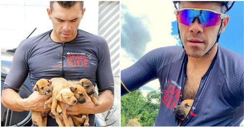 Cyclists find five puppies buried in hole, give them a ride to save their lives