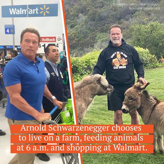 Money can’t buy true happiness, so despite a $400 million fortune, Arnold Schwarzenegger lives a low-key life on his farm