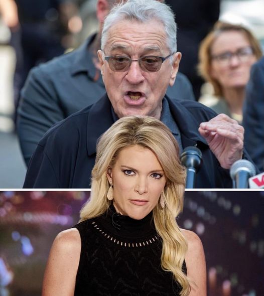 Megyn Kelly openly blasted Robert De Niro, calling him “colossally stupid.”