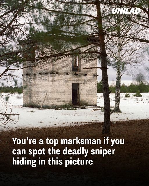 You’re a top marksman if you can spot the deadly sniper hiding in this picture