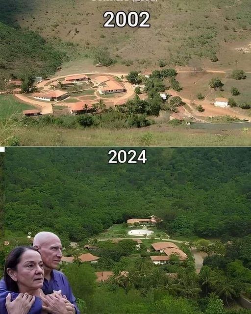 Reviving Life from Desolation to Prosperity: The Extraordinary Journey of a Brazilian Couple’s Reforestation Mission