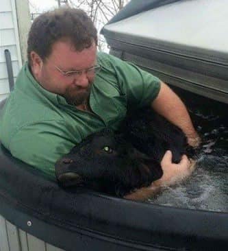 «💖A farmer uses a hot tub to rescue the life of a newborn calf that is frozen in the snow.»😳