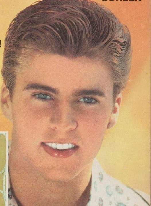 The teen idol of the 50s who saved his twins in the mysterious plane accident that led to his own death