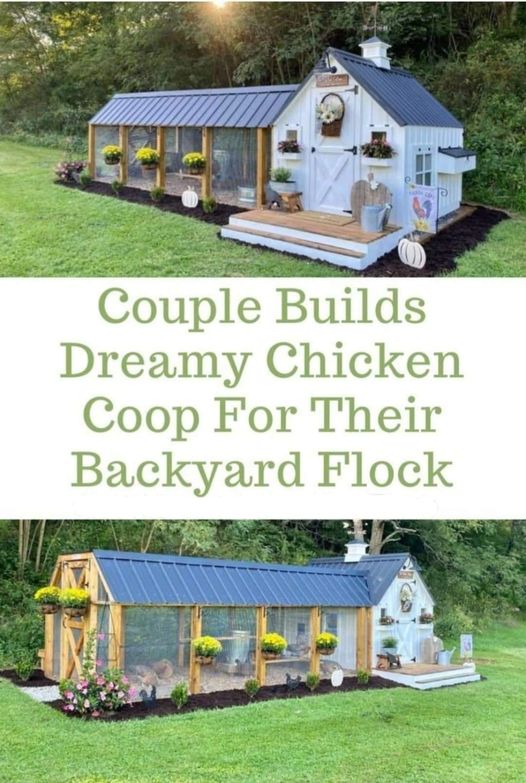 Couple Builds Dreamy Chicken Coop for Their Backyard Flock