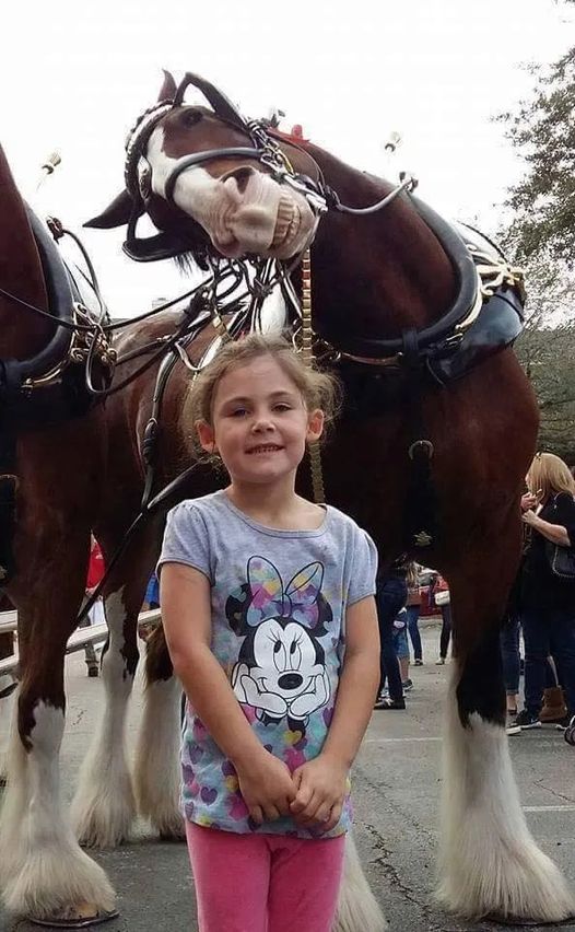 The father takes a picture of his daughter next to a horse. On closer inspection, he cannot believe what he sees