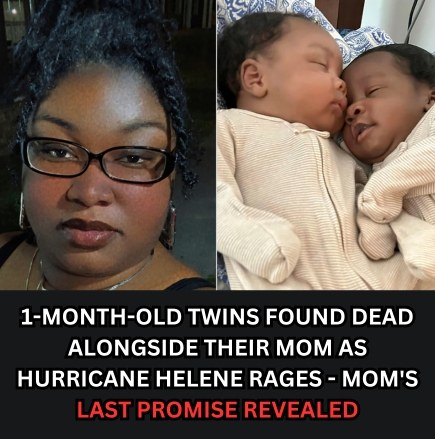 1-Month-Old Twin Brothers Found Dead Alongside Their Mom As Hurricane Helene Rages