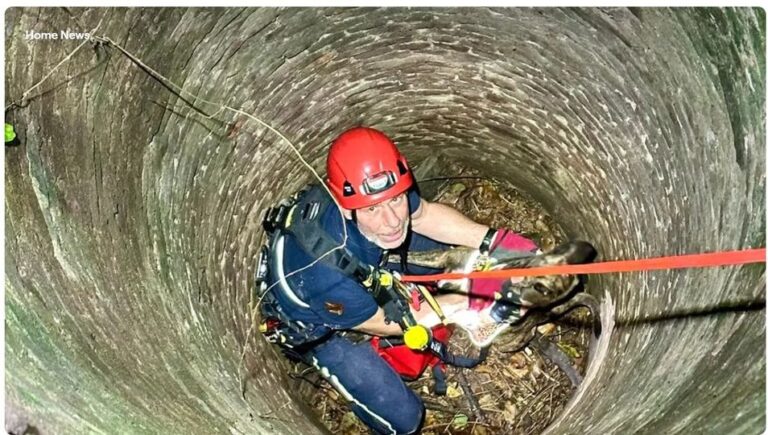 Fire brigade rescues dog from 8-metre-deep well in Beersel