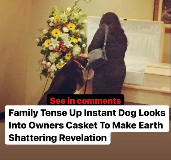 Beautiful Moment for Depressed Dog Who Actually Found Closure Saying a Final Goodbye at the Funeral