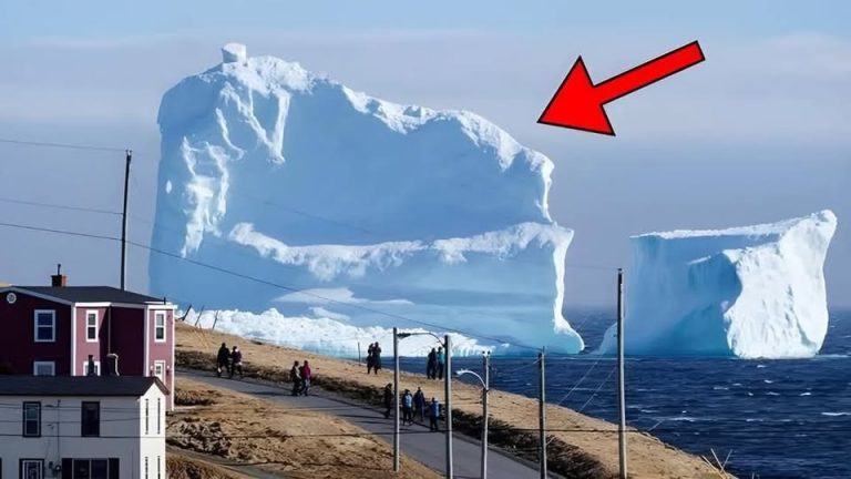 Iceberg Floats Near The Local Village. When People See What’s On It, They Get Scared