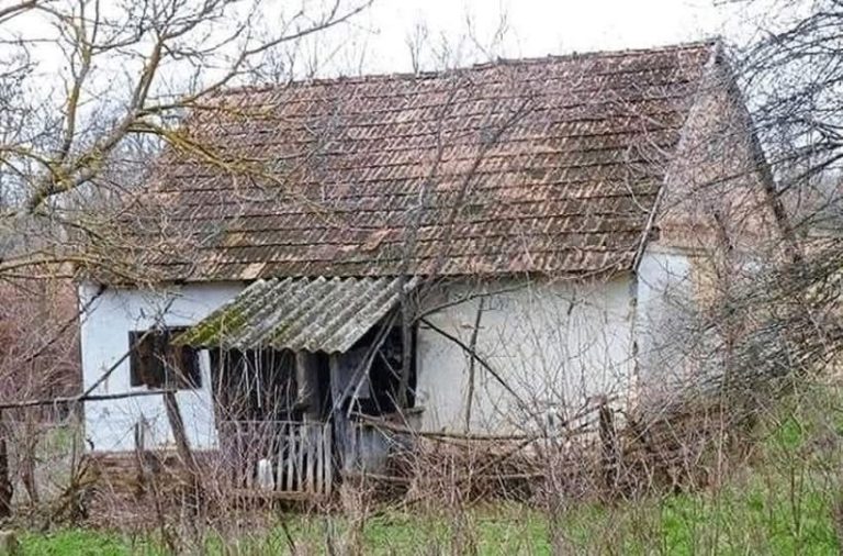 From Dreams to Reality: A Young Family Transforms an Abandoned House Into a Fairytale Home