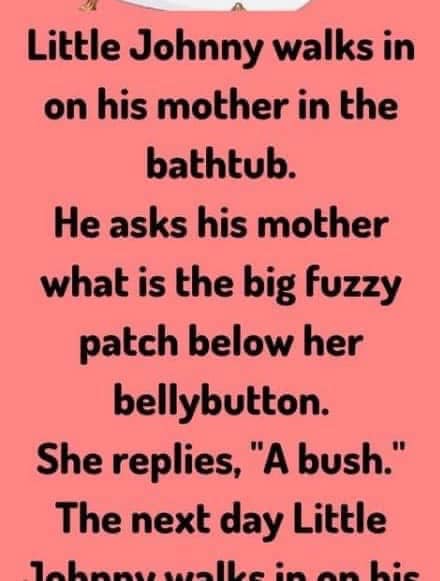 Little Johnny Walks in on his mother, read more below..