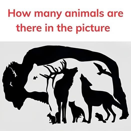 “How Many Animals Can You Find in This Picture?”