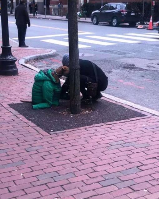 I THOUGHT SHE WAS HELPING A STRAY—UNTIL THE OWNER STARTED SCREAMING