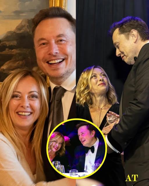 Giorgia Meloni’s Secret Attraction: Linked to Elon Musk in Shocking New Reports—”She’s Attracted to His Genius and His Chaos”—Could Love Be in the Air.