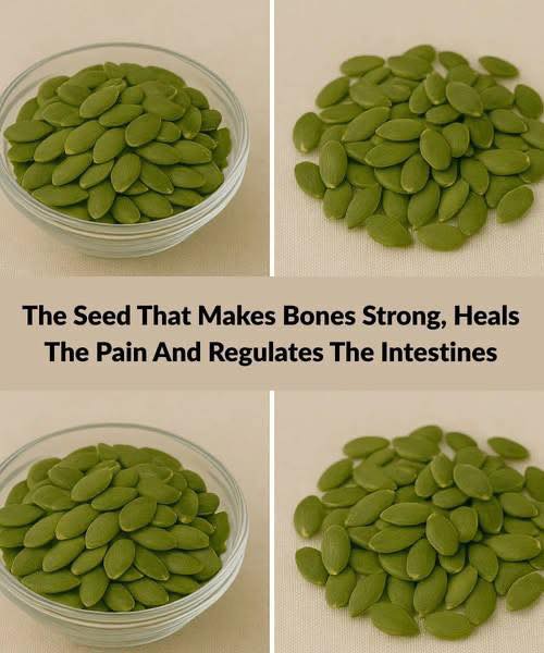 The Seed That Strengthens Bones, Eases Pain, and Supports Digestion: Unveiling the Health Benefits of Pumpkin Seeds